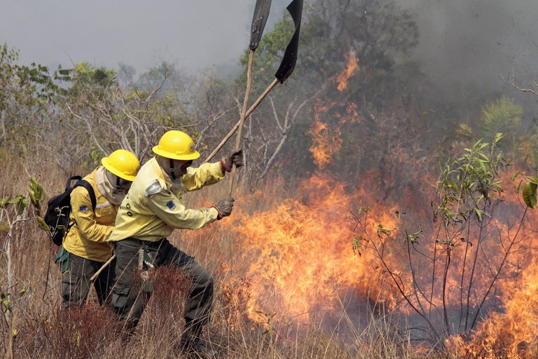 Número de incêndios florestais em SP tem queda de 41% em junho