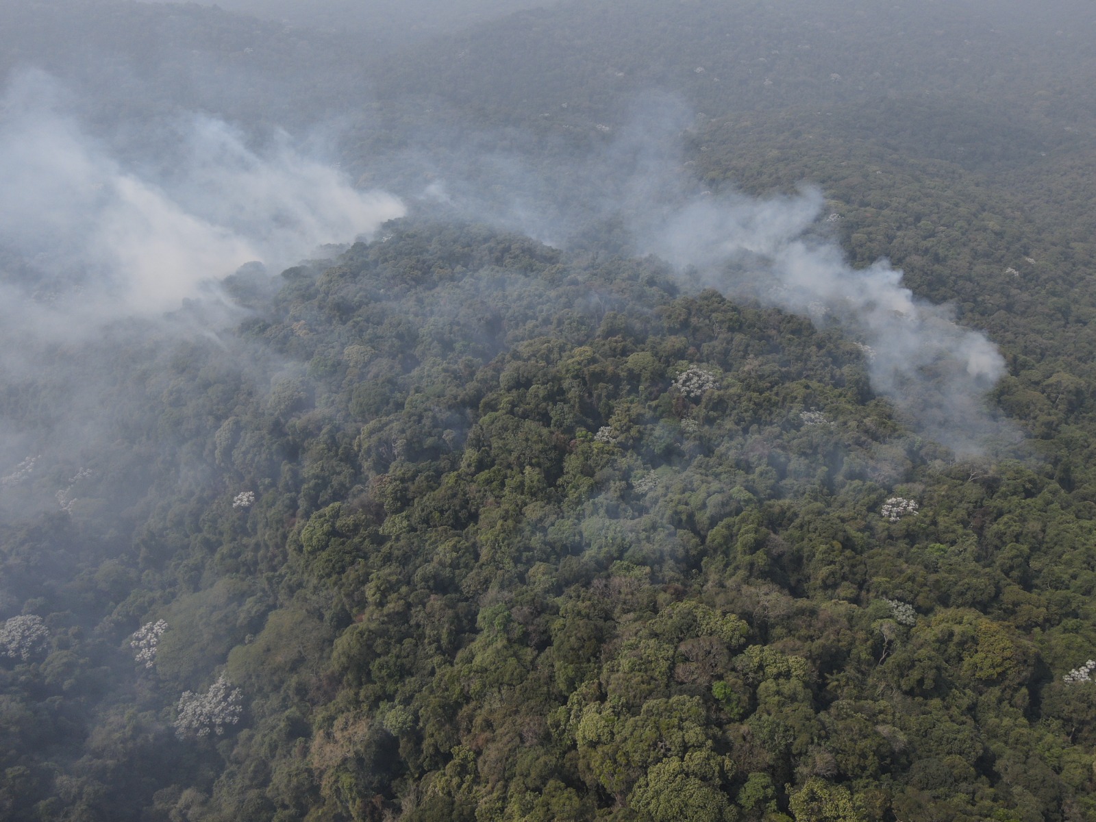 Governo de SP fecha núcleo do Cantareira e inicia combate a incêndio com helicóptero