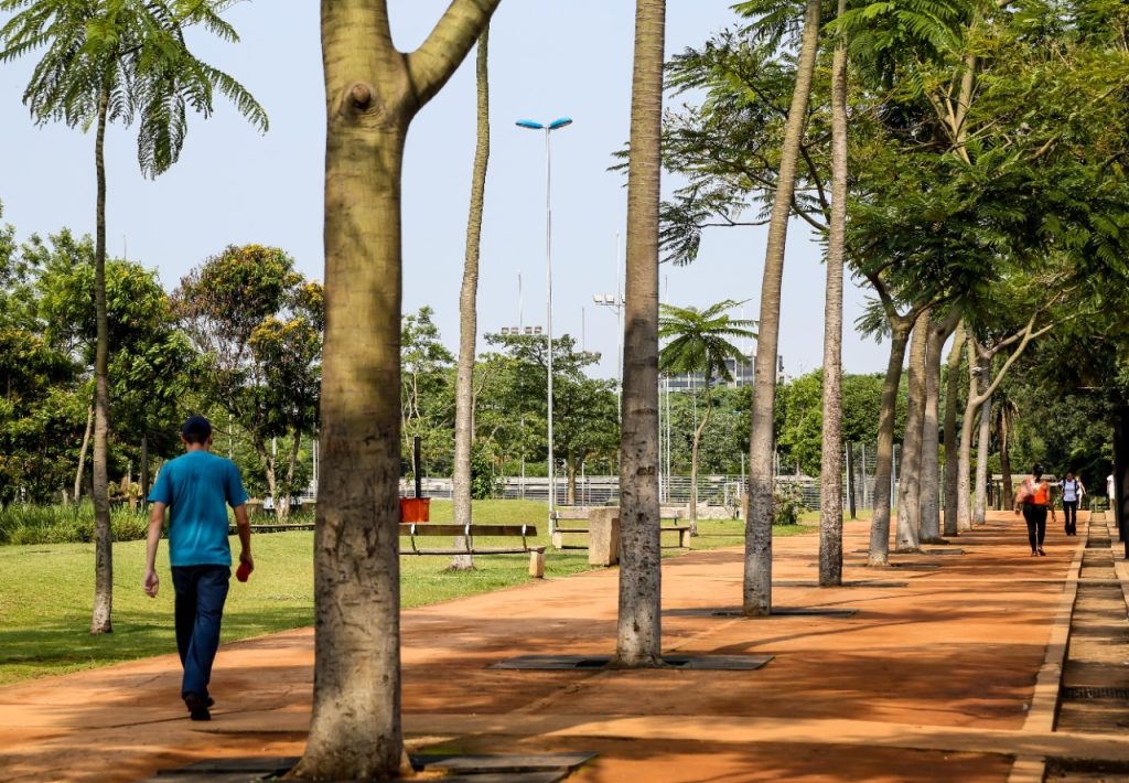 SP abre consulta pública para plano diretor do Parque da Juventude